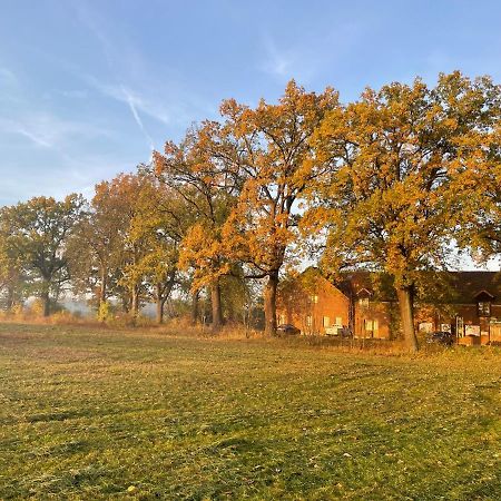 Eichenhof Hotel Garni Groß Köris エクステリア 写真